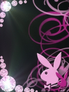 0003.gif