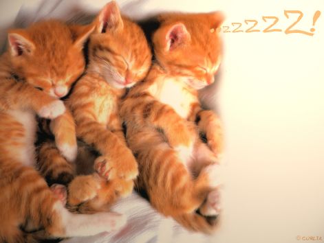 wallpaper_9575.jpg